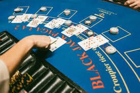 bd333 bet